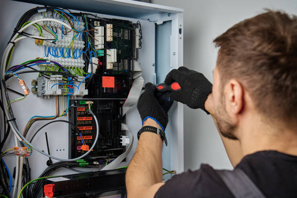 Licensed Electrical Panel Upgrade service in Ladd, IL - No Joke electrician